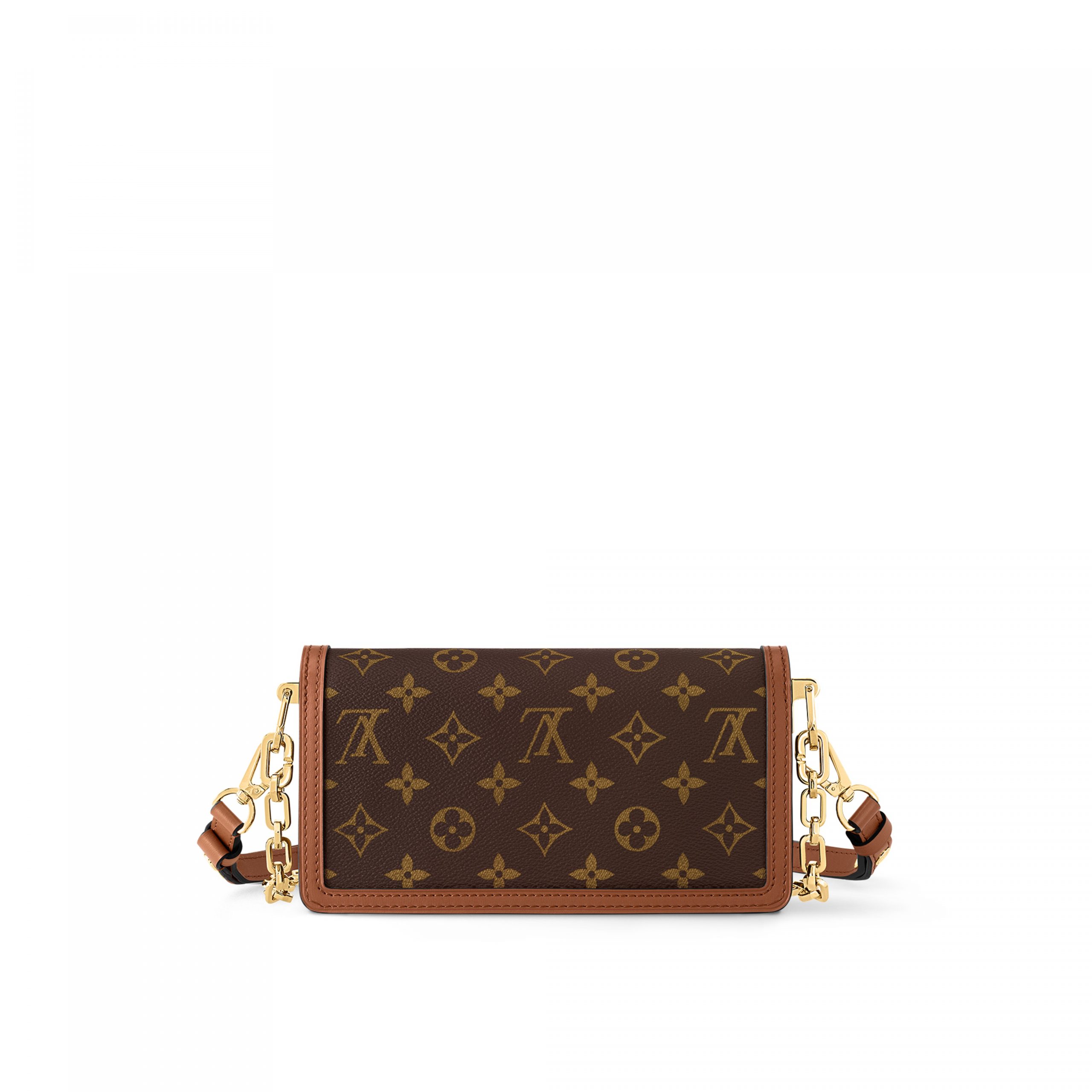 louis-vuitton-dauphine-east-west-monogram-reverse-handbags-M46757_PM1_Back_20view-scaled-2.jpg
