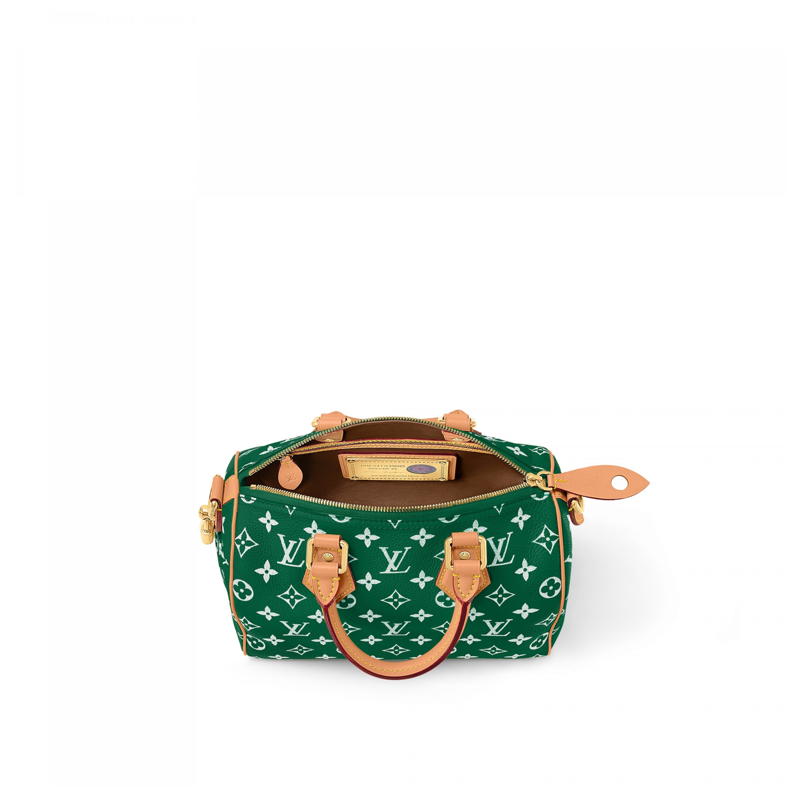 louis-vuitton-speedy-p9-bandouli_C3_A8re-25-autres-cuirs-monogram-for-men-M24423_PM1_Interior_20view-scaled-2.jpg