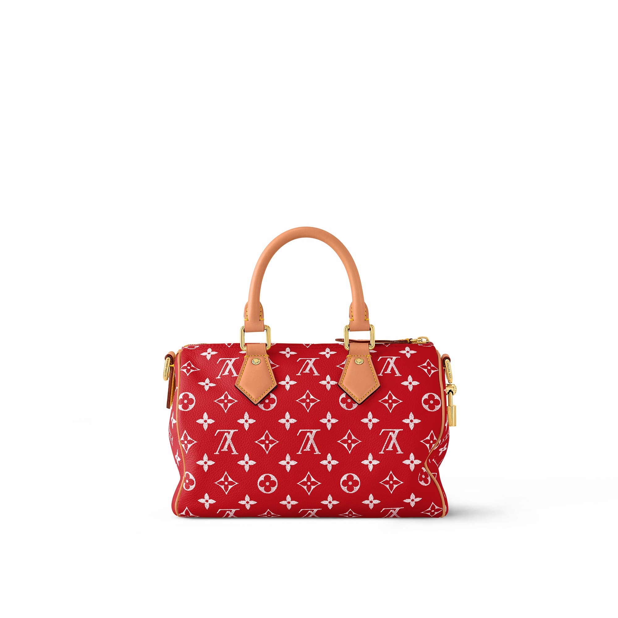 louis-vuitton-speedy-p9-bandouli_C3_A8re-25-autres-cuirs-monogram-for-men-M24425_PM1_Back_20view-1.jpg