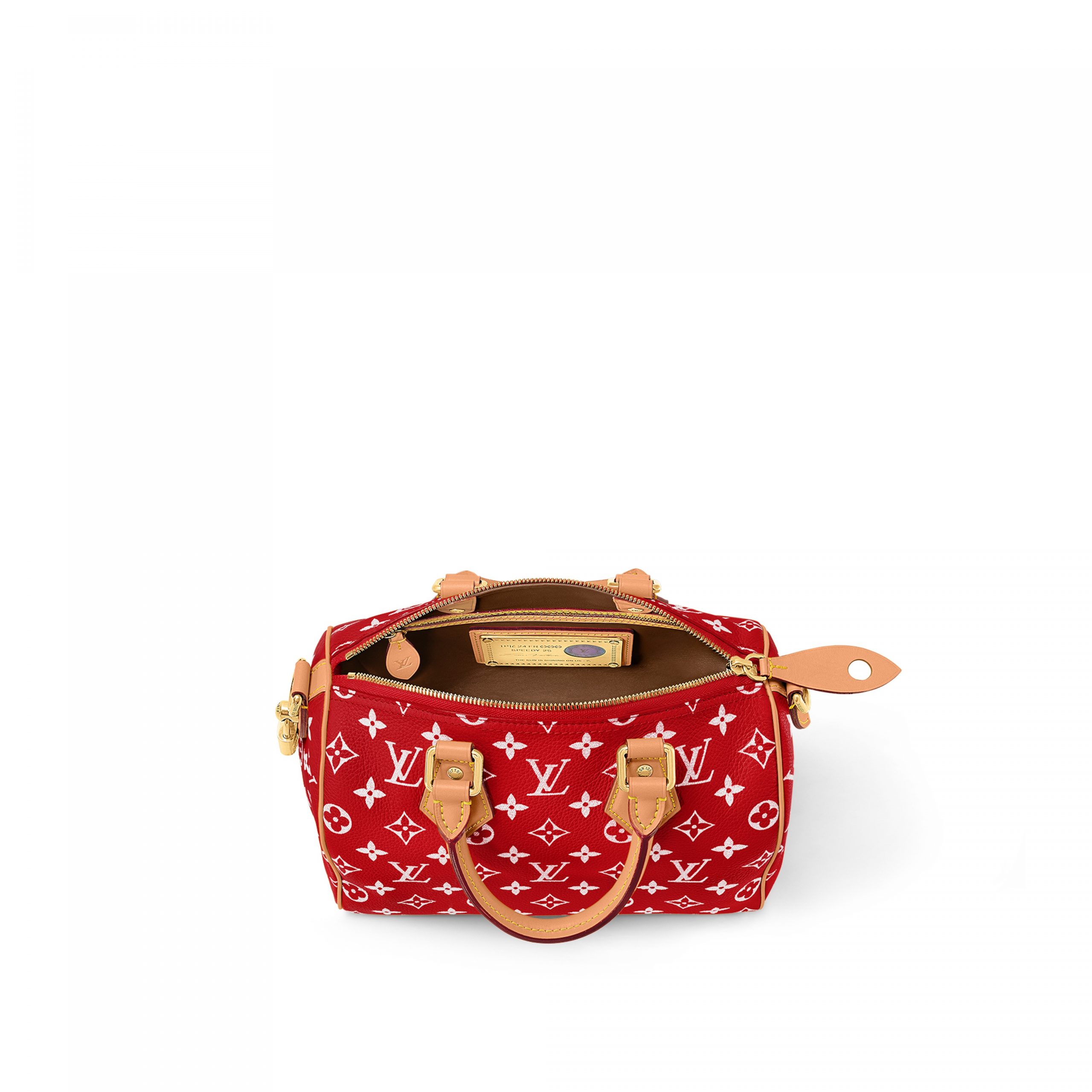 louis-vuitton-speedy-p9-bandouli_C3_A8re-25-autres-cuirs-monogram-for-men-M24425_PM1_Interior_20view-scaled-2.jpg