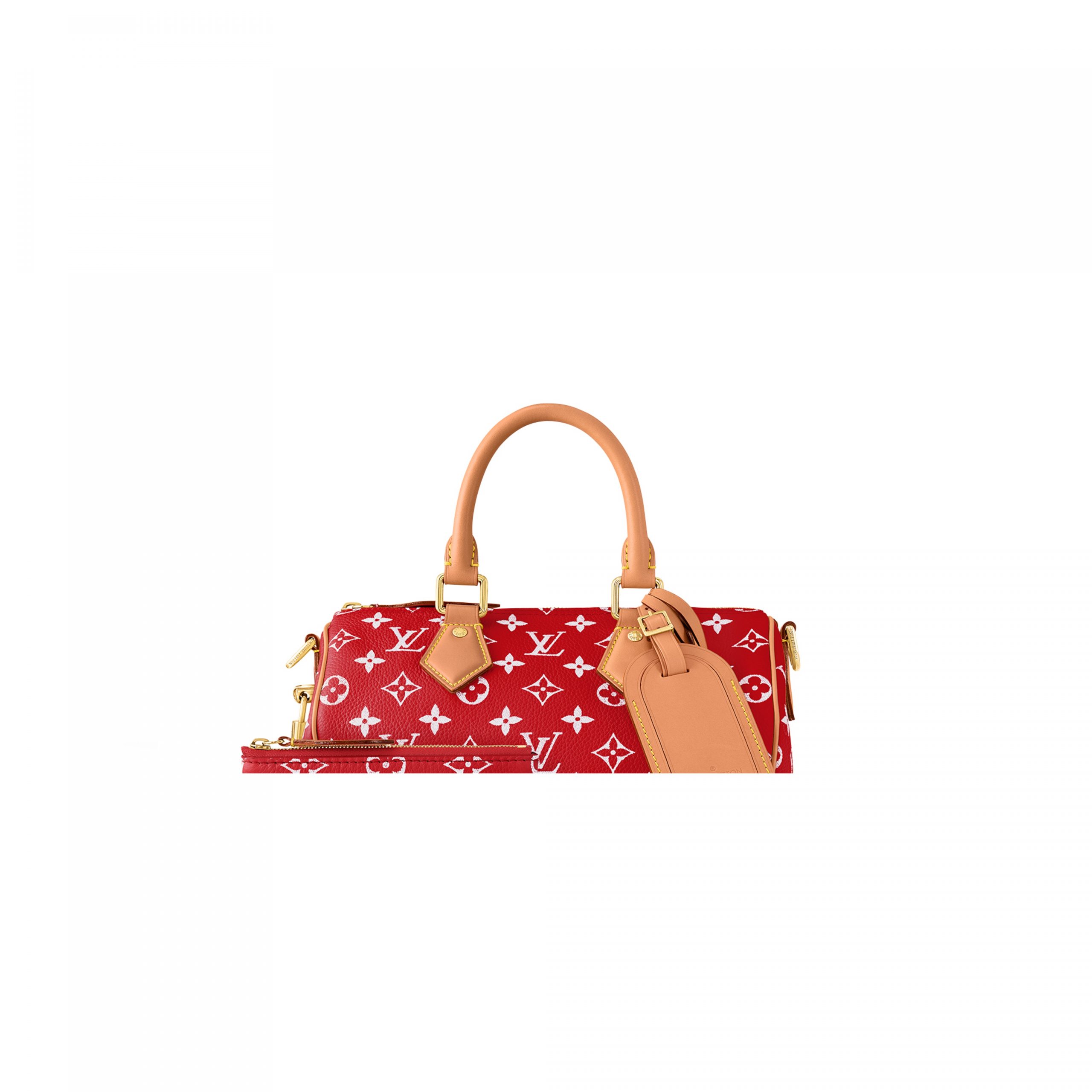 louis-vuitton-speedy-p9-bandouli_C3_A8re-25-autres-cuirs-monogram-for-men-M24425_PM1_Other2_20view-scaled-2.jpg