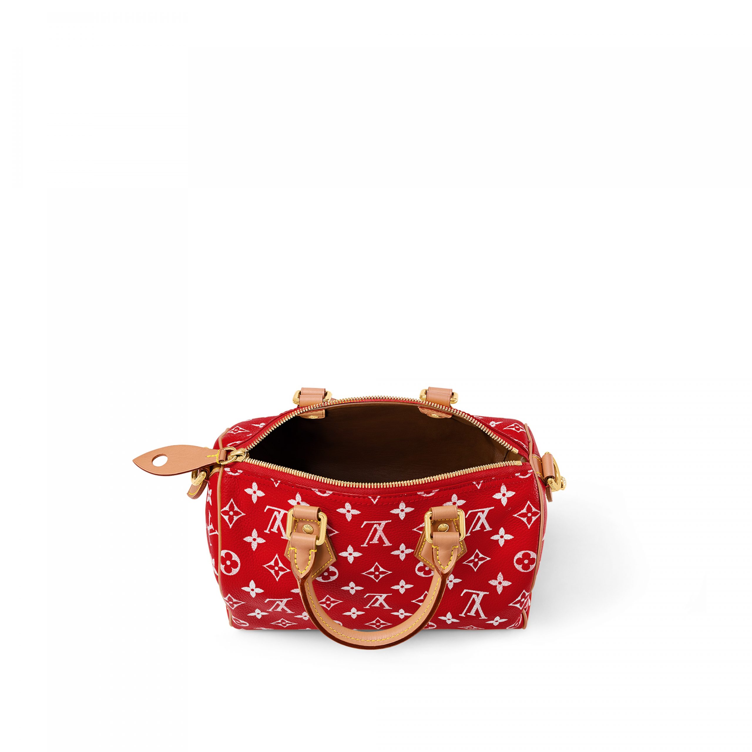 louis-vuitton-speedy-p9-bandouli_C3_A8re-25-autres-cuirs-monogram-for-men-M24425_PM1_Other_20view-scaled-2.jpg