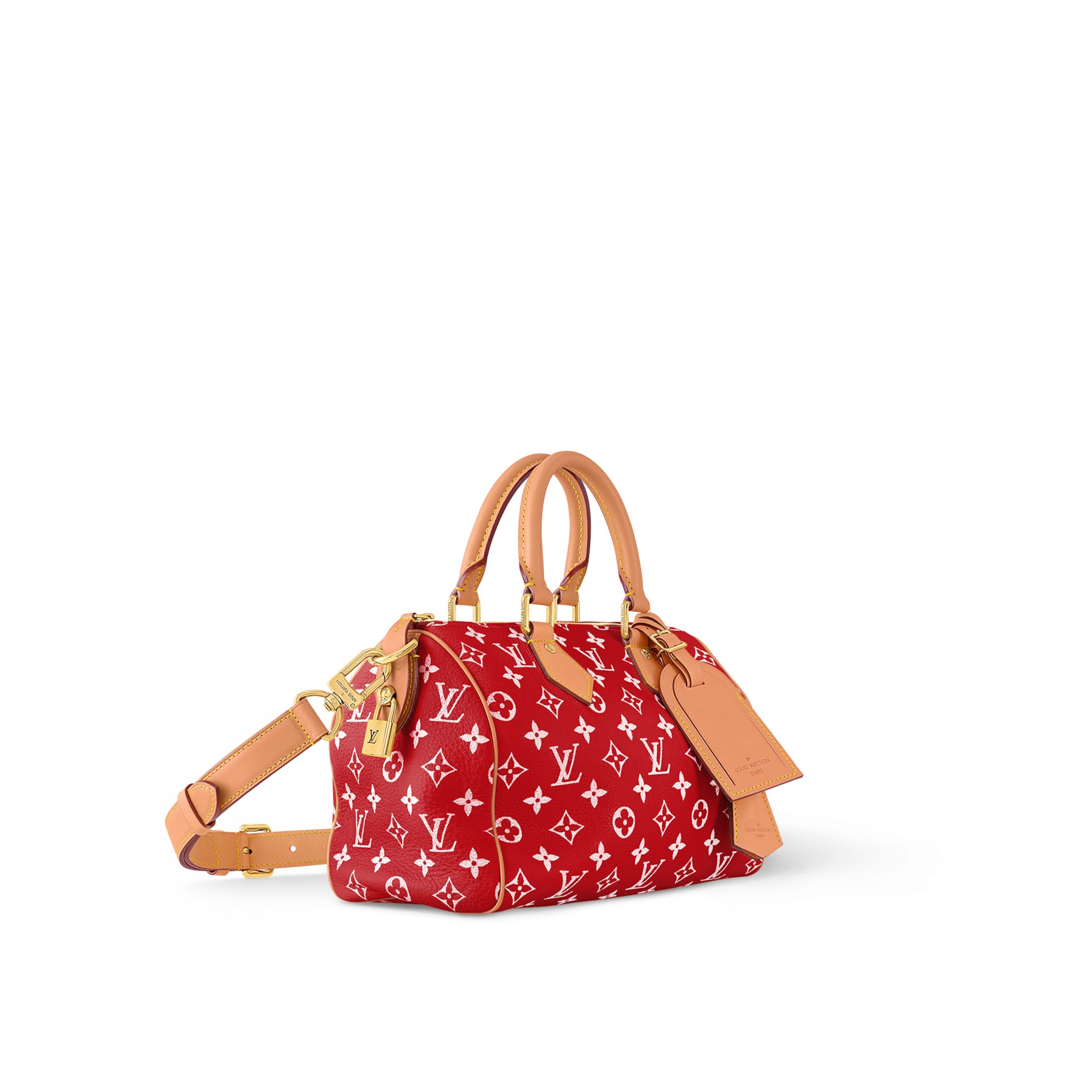 louis-vuitton-speedy-p9-bandouli_C3_A8re-25-autres-cuirs-monogram-for-men-M24425_PM1_Side_20view-scaled-2.jpg