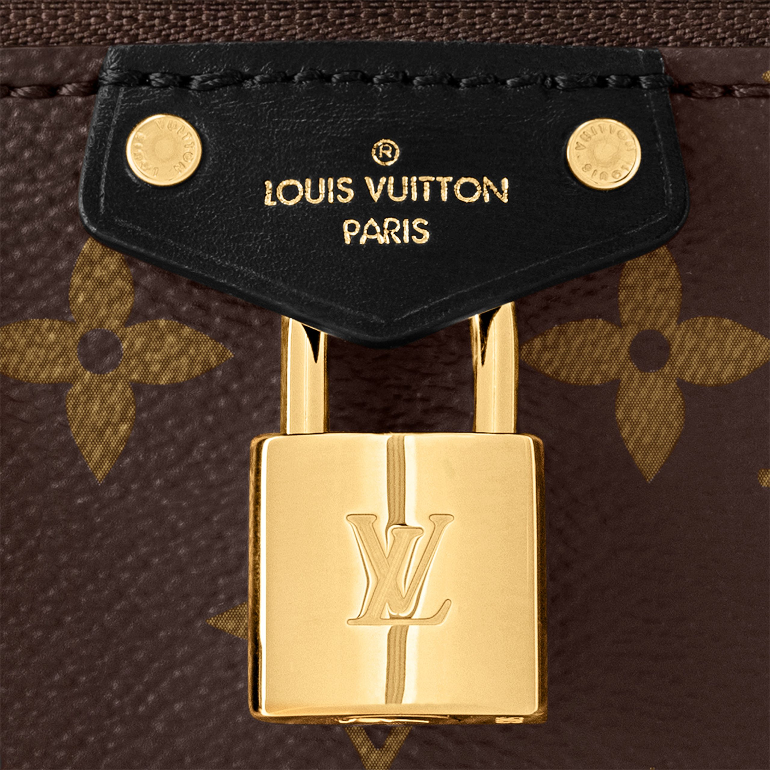 louis-vuitton-vanity-chain-pouch-M47125_PM1_Detail_20view-scaled-2.jpg