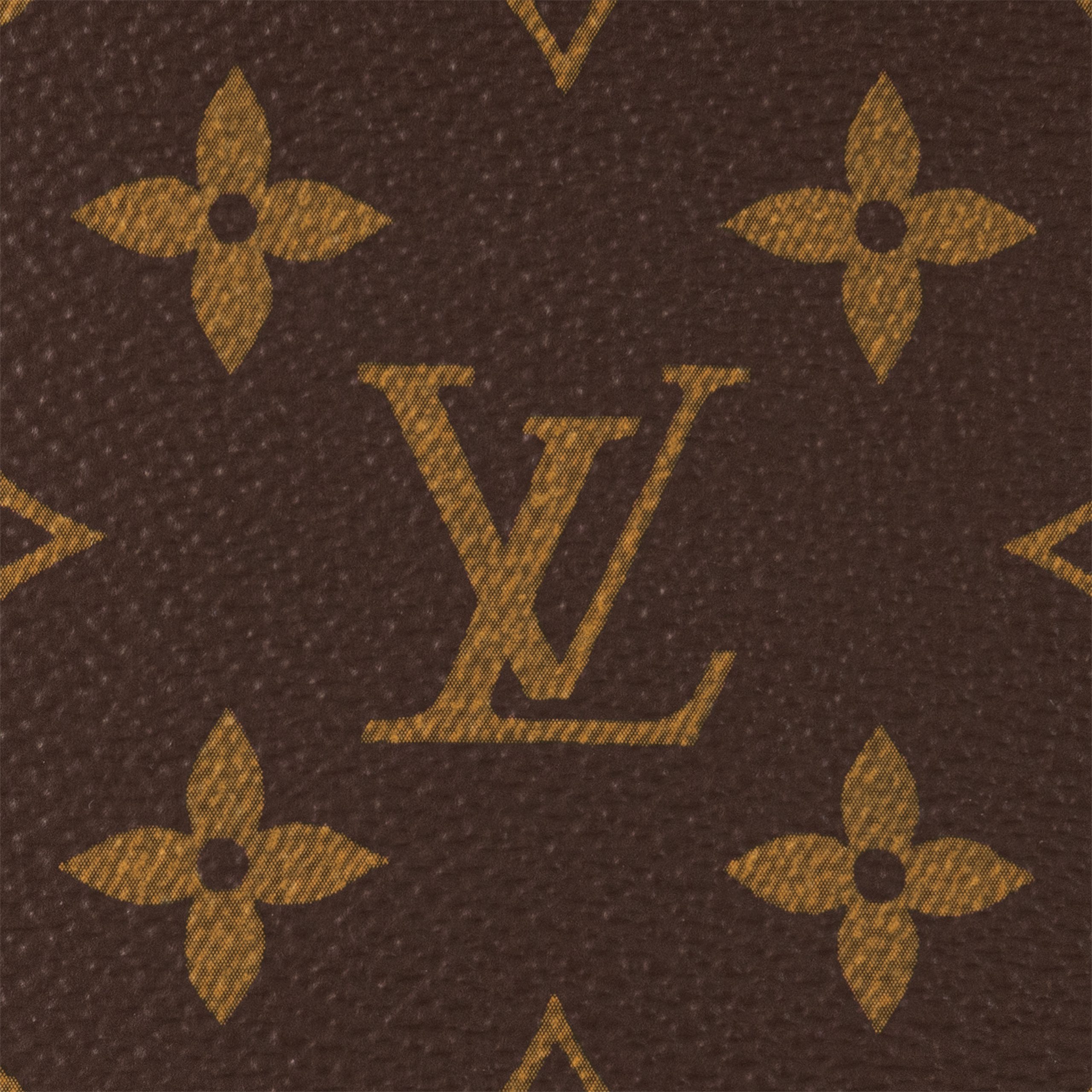 louis-vuitton-vibe-monogram-handbags-M46999_PM1_Back_20view-scaled-2.jpg
