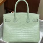 Hermès Vert-D'eau and Vanille Matte Alligator Birkin 25 Brushed Gold Hardware