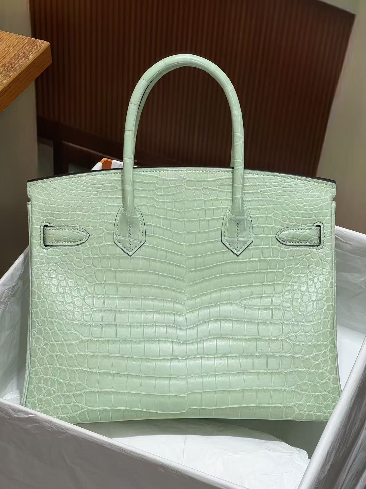 Hermès Vert-D'eau and Vanille Matte Alligator Birkin 25 Brushed Gold Hardware