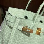 Hermès Vert-D'eau and Vanille Matte Alligator Birkin 25 Brushed Gold Hardware