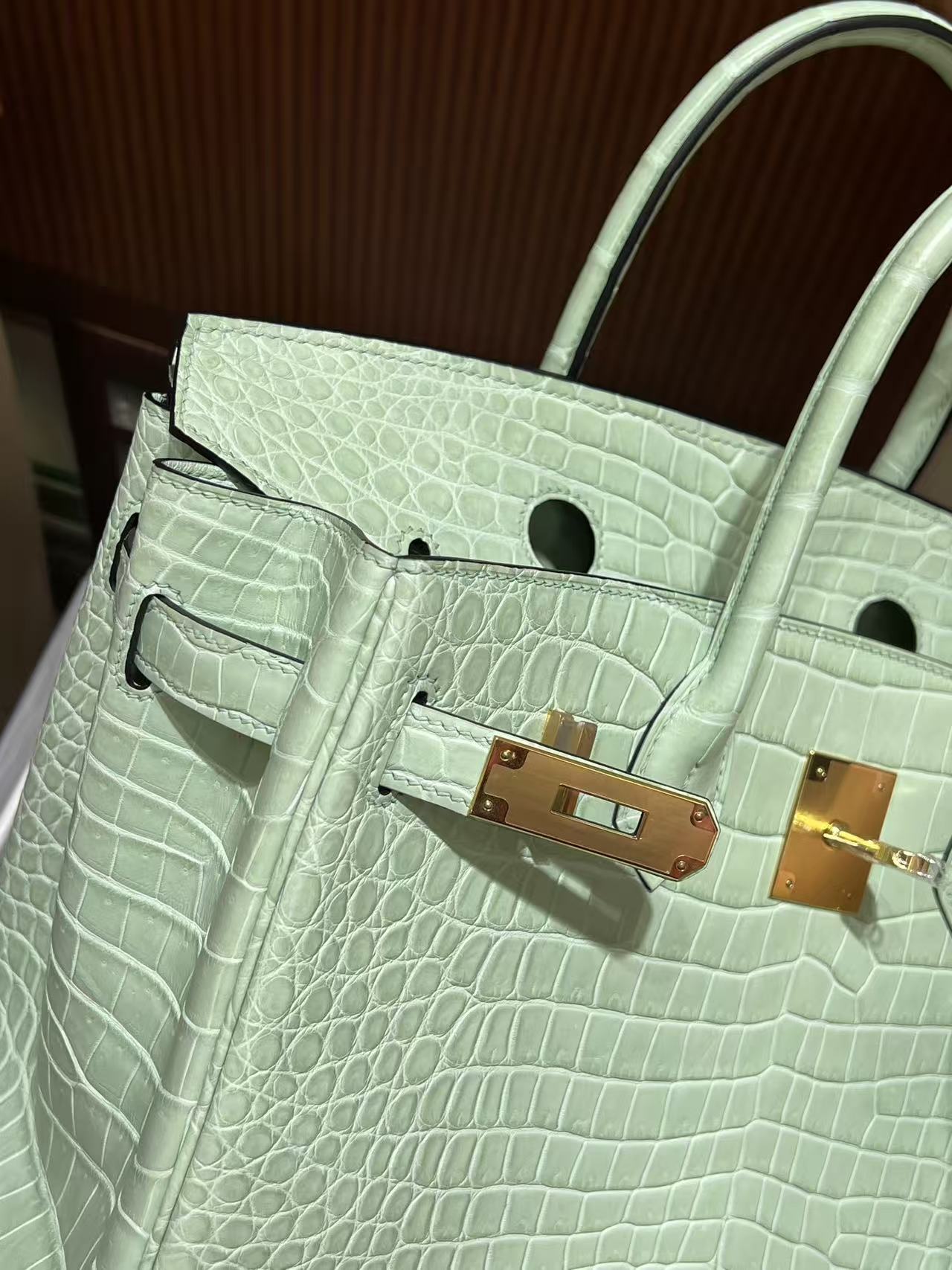 Hermès Vert-D'eau and Vanille Matte Alligator Birkin 25 Brushed Gold Hardware