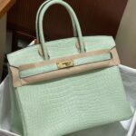Hermès Vert-D'eau and Vanille Matte Alligator Birkin 25 Brushed Gold Hardware