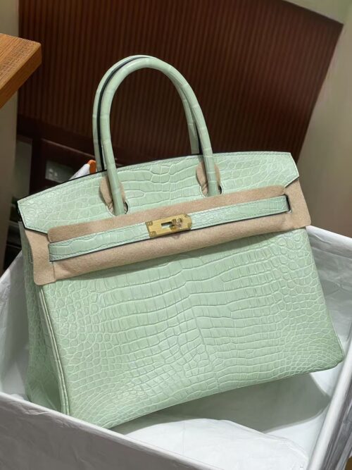 Hermès Vert-D'eau and Vanille Matte Alligator Birkin 25 Brushed Gold Hardware
