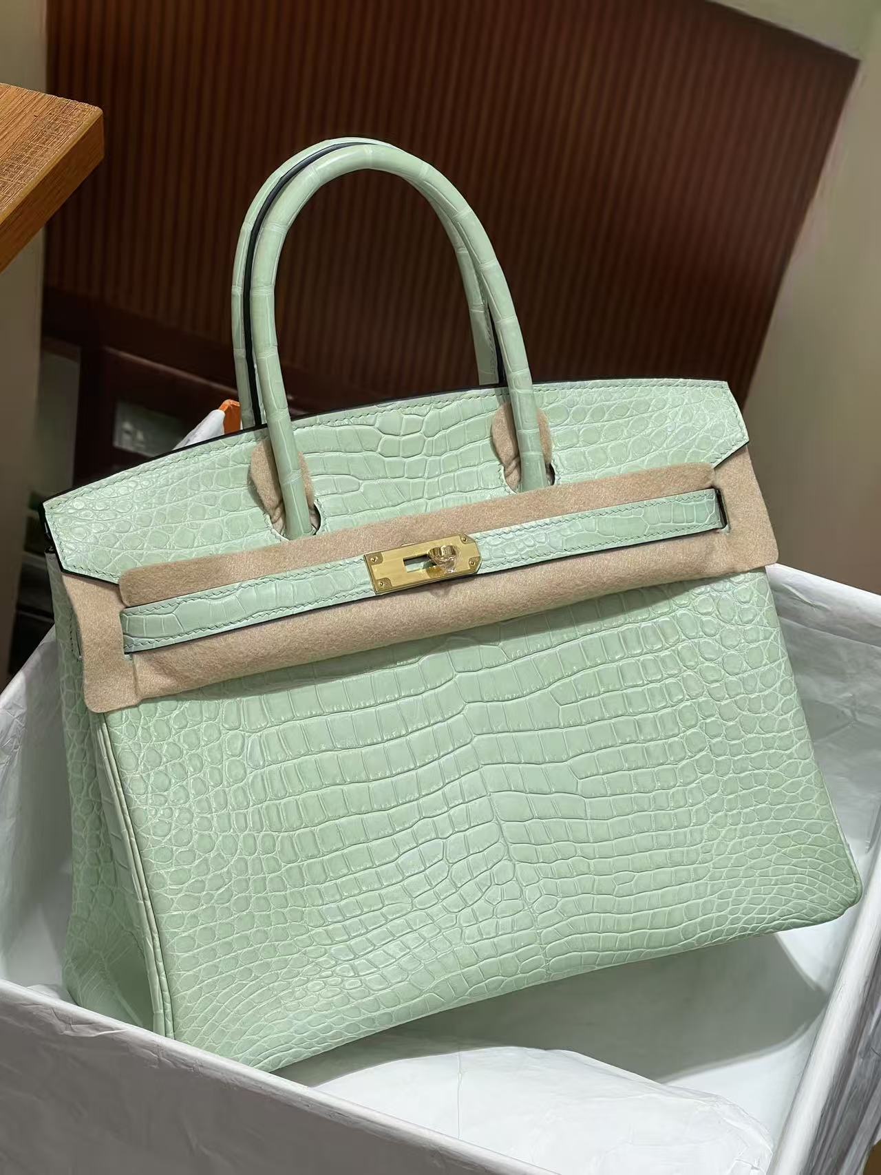 Hermès Vert-D'eau and Vanille Matte Alligator Birkin 25 Brushed Gold Hardware