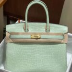 Hermès Vert-D'eau and Vanille Matte Alligator Birkin 25 Brushed Gold Hardware