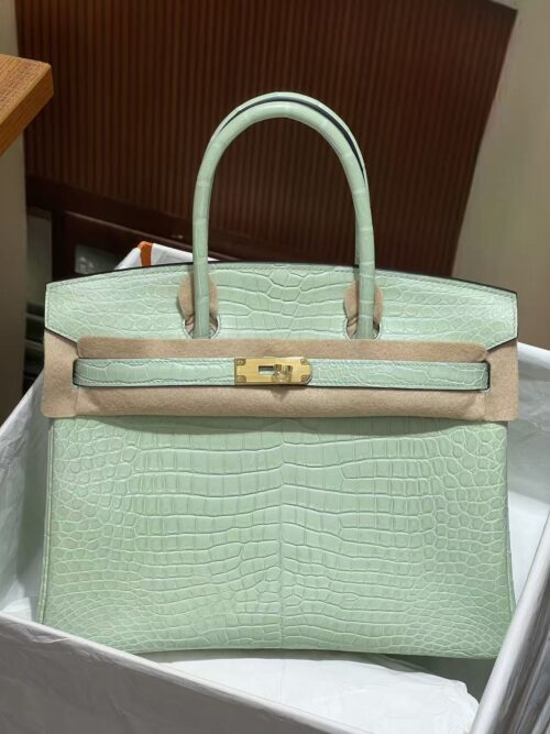 Hermès Vert-D'eau and Vanille Matte Alligator Birkin 25 Brushed Gold Hardware