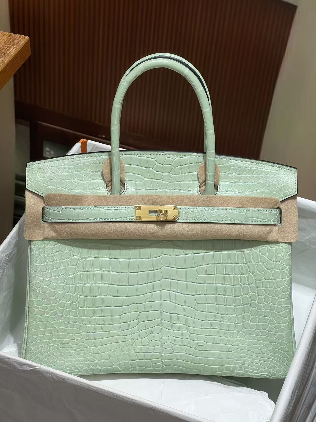 Hermès Vert-D'eau and Vanille Matte Alligator Birkin 25 Brushed Gold Hardware