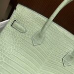 Hermès Vert-D'eau and Vanille Matte Alligator Birkin 25 Brushed Gold Hardware