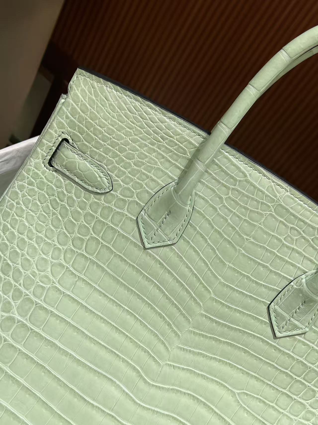 Hermès Vert-D'eau and Vanille Matte Alligator Birkin 25 Brushed Gold Hardware