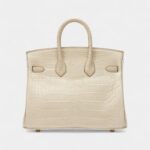 Hermès Beton Matte Mississippiensis Alligator Birkin 25 Gold Hardware