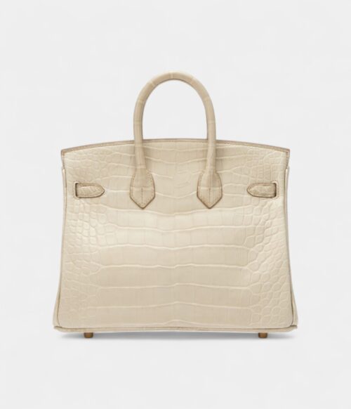 Hermès Beton Matte Mississippiensis Alligator Birkin 25 Gold Hardware