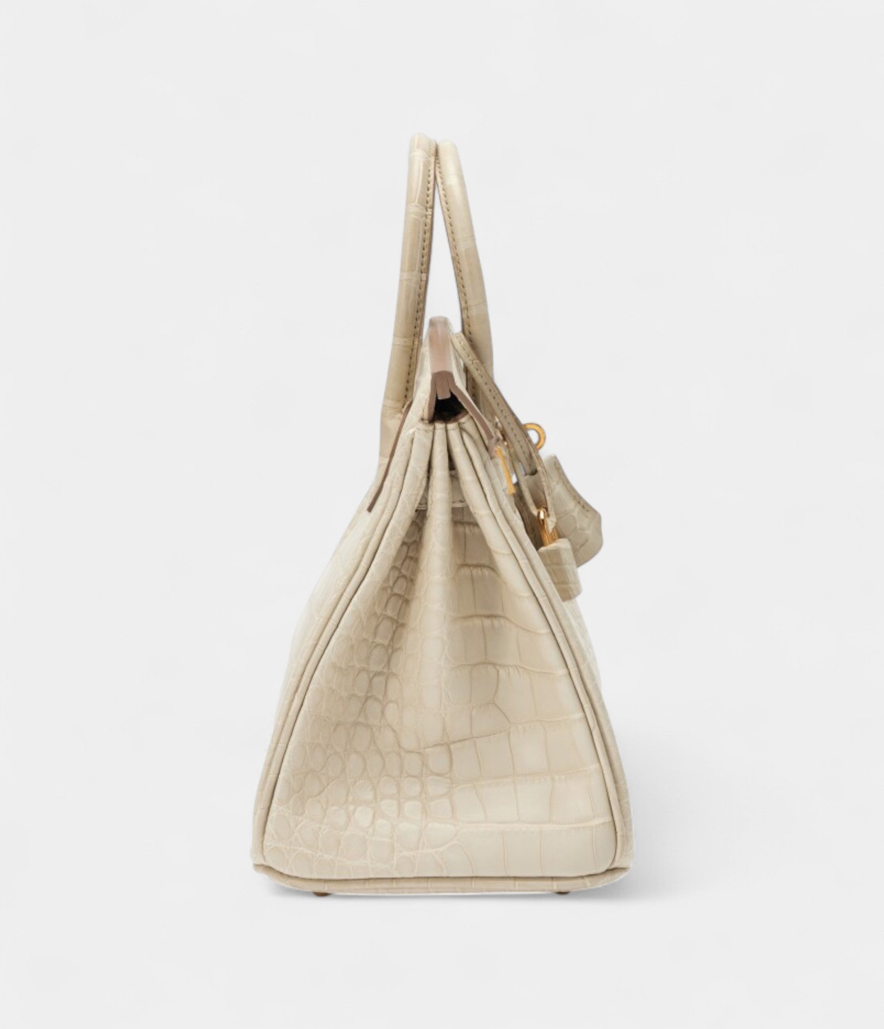 Hermès Beton Matte Mississippiensis Alligator Birkin 25 Gold Hardware