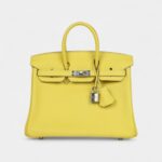 Hermès Birkin 25 Lime Swift Palladium Hardware