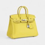 Hermès Birkin 25 Lime Swift Palladium Hardware