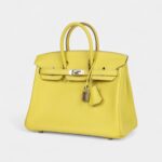 Hermès Birkin 25 Lime Swift Palladium Hardware