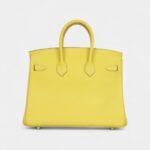 Hermès Birkin 25 Lime Swift Palladium Hardware