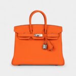 Hermès Birkin 25 Orange Minium Togo Palladium Hardware