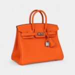 Hermès Birkin 25 Orange Minium Togo Palladium Hardware