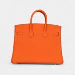 Hermès Birkin 25 Orange Minium Togo Palladium Hardware