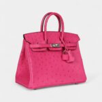 Hermès Birkin 25 Rose Tyrien Ostrich Palladium Hardware