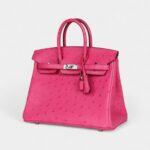 Hermès Birkin 25 Rose Tyrien Ostrich Palladium Hardware