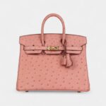 Hermès Birkin 25 Terre Cuite Ostrich Gold Hardware