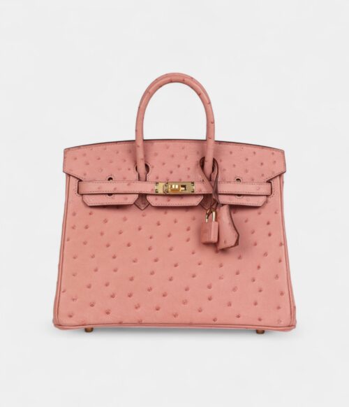 Hermès Birkin 25 Terre Cuite Ostrich Gold Hardware