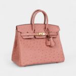 Hermès Birkin 25 Terre Cuite Ostrich Gold Hardware
