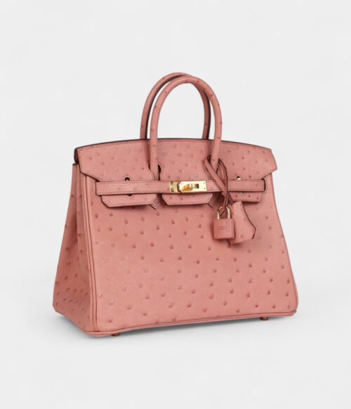 Hermès Birkin 25 Terre Cuite Ostrich Gold Hardware