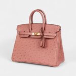 Hermès Birkin 25 Terre Cuite Ostrich Gold Hardware