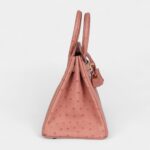 Hermès Birkin 25 Terre Cuite Ostrich Gold Hardware