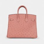 Hermès Birkin 25 Terre Cuite Ostrich Gold Hardware