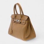 Hermès Birkin 30 A Testament to Elevated Tactile