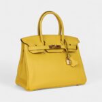 Hermès Birkin 30 Jaune de Naples Novillo Gold Hardware