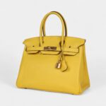 Hermès Birkin 30 Jaune de Naples Novillo Gold Hardware