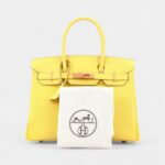 Hermès Birkin 30 Leather Handbag The Pinnacle of Luxury
