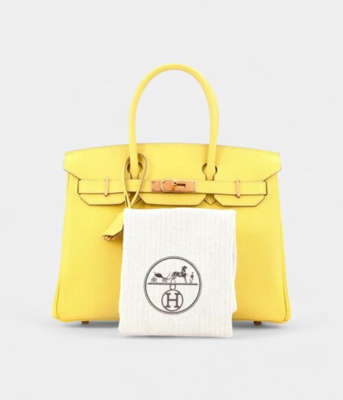 Hermès Birkin 30 Leather Handbag The Pinnacle of Luxury