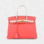 Hermès Birkin 30 Leather Tote The Essence of Luxury and Sophistication
