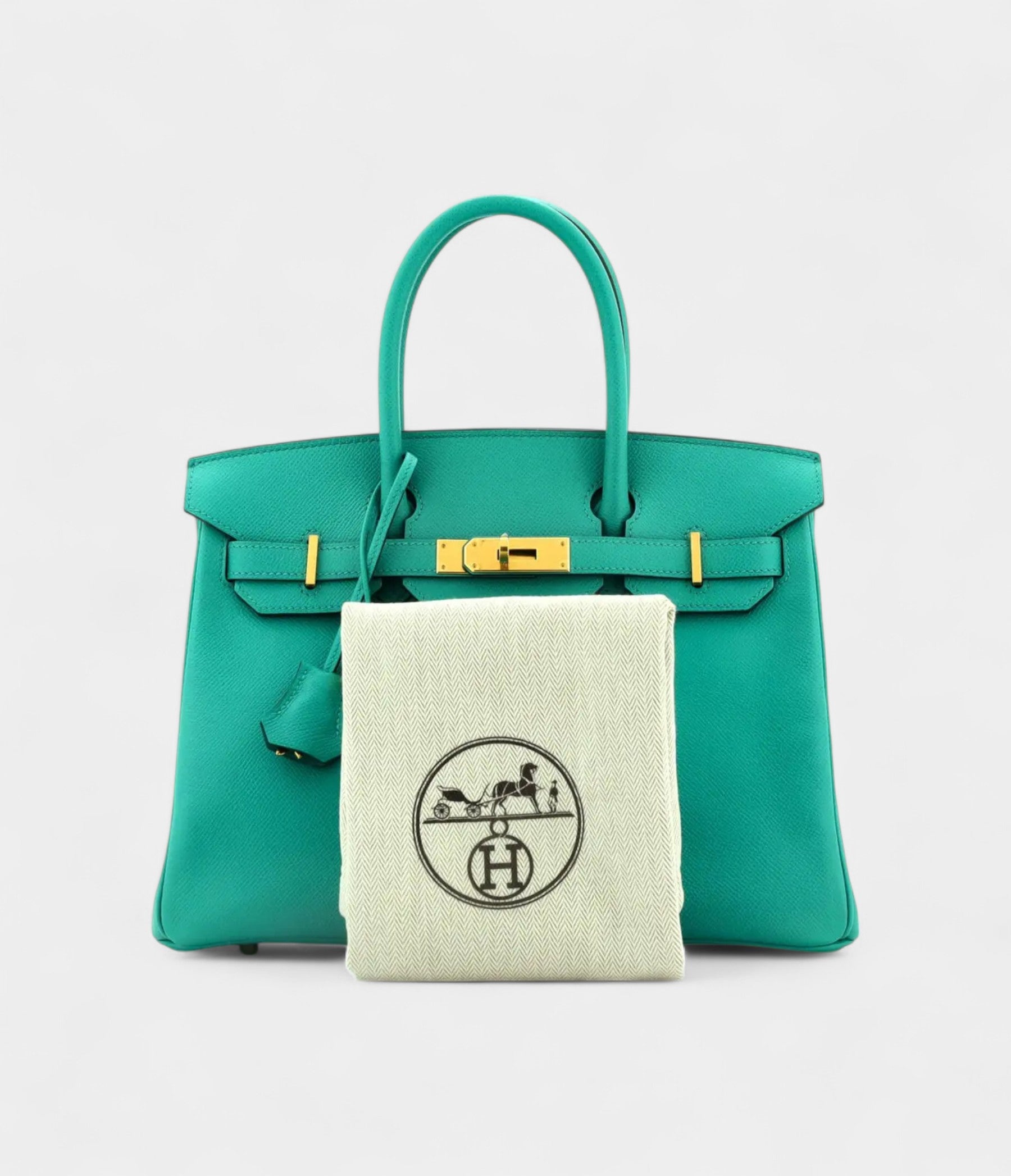 Hermès Birkin 30 The Art of Timeless Luxury