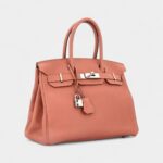 Hermès Birkin 30 Timeless Elegance in Leather
