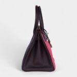 Hermès Birkin 30 Tri-Color Raisin, Ultraviolet and Rose Shocking Chevre Palladium Hardware