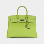 Hermès Birkin 35 Kiwi Candy Epsom Palladium Hardware